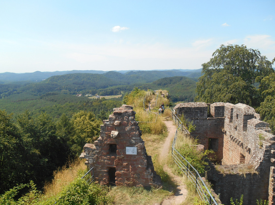 Chateau du Falkenstein景点图片