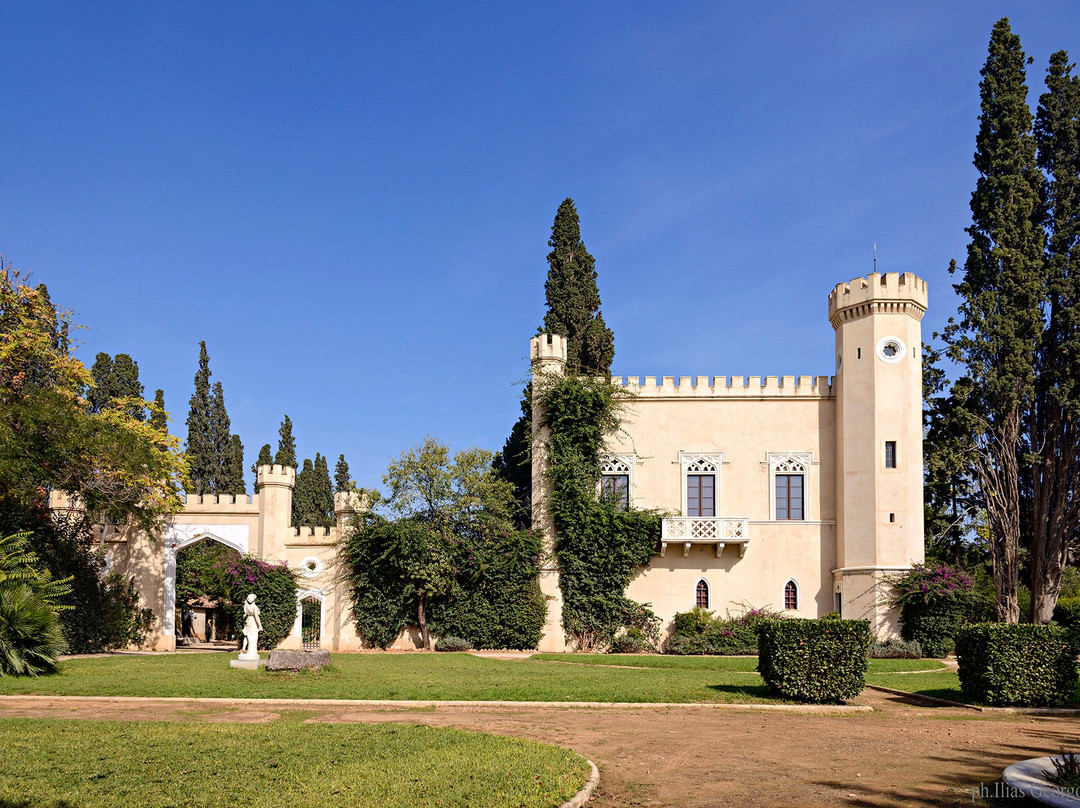 Pyrgos Vasilissis景点图片