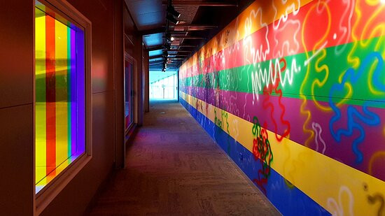 Puke Ariki-新普利默斯必去景点