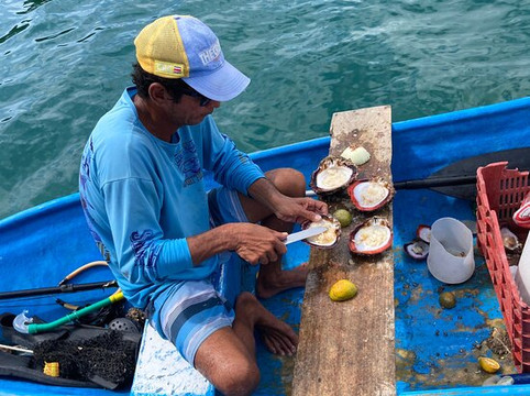 Zuma Tours-圣特雷莎必去景点