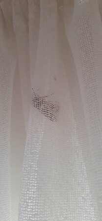 Meninya Palms Moama主图