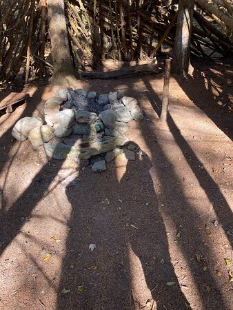 Wildwood Conservation Area-圣玛丽必去景点