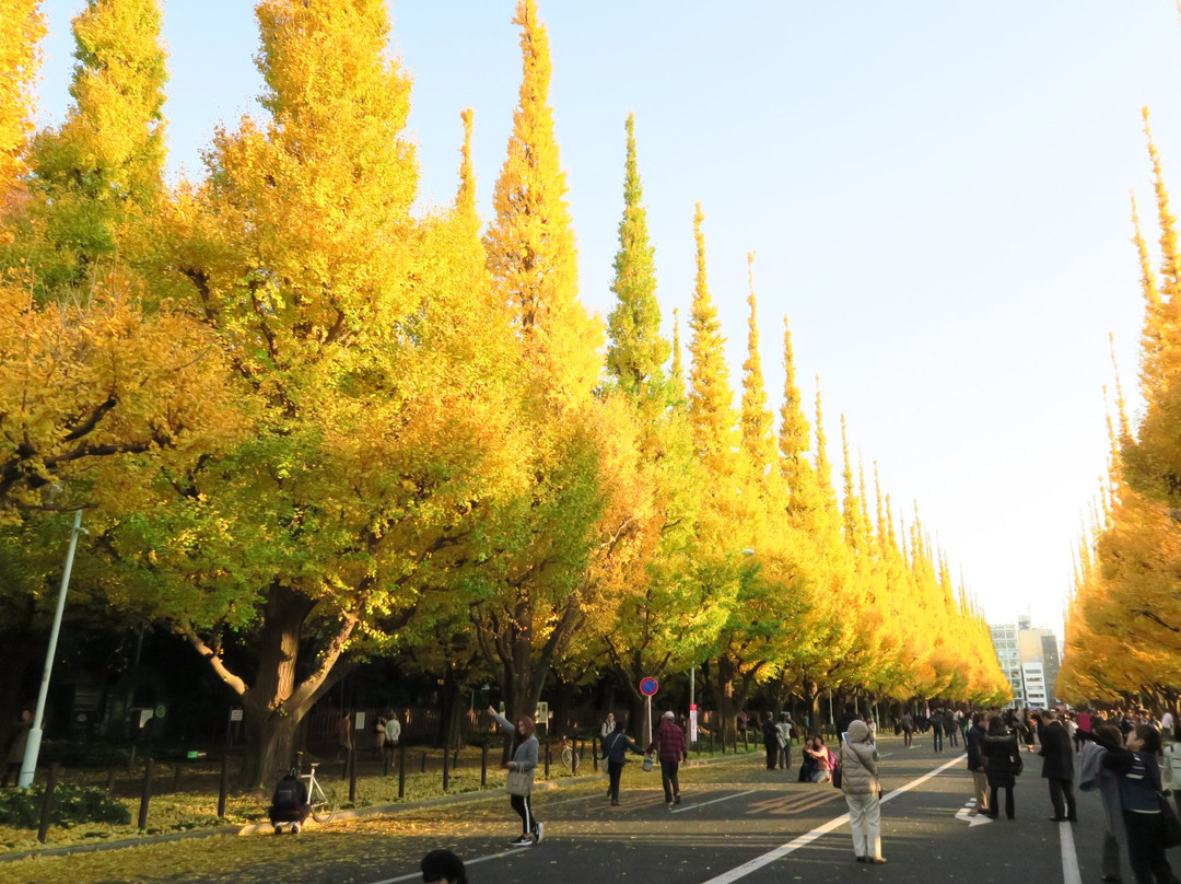 Jingu Gaien Ginkgo Tree-lined Street景点图片