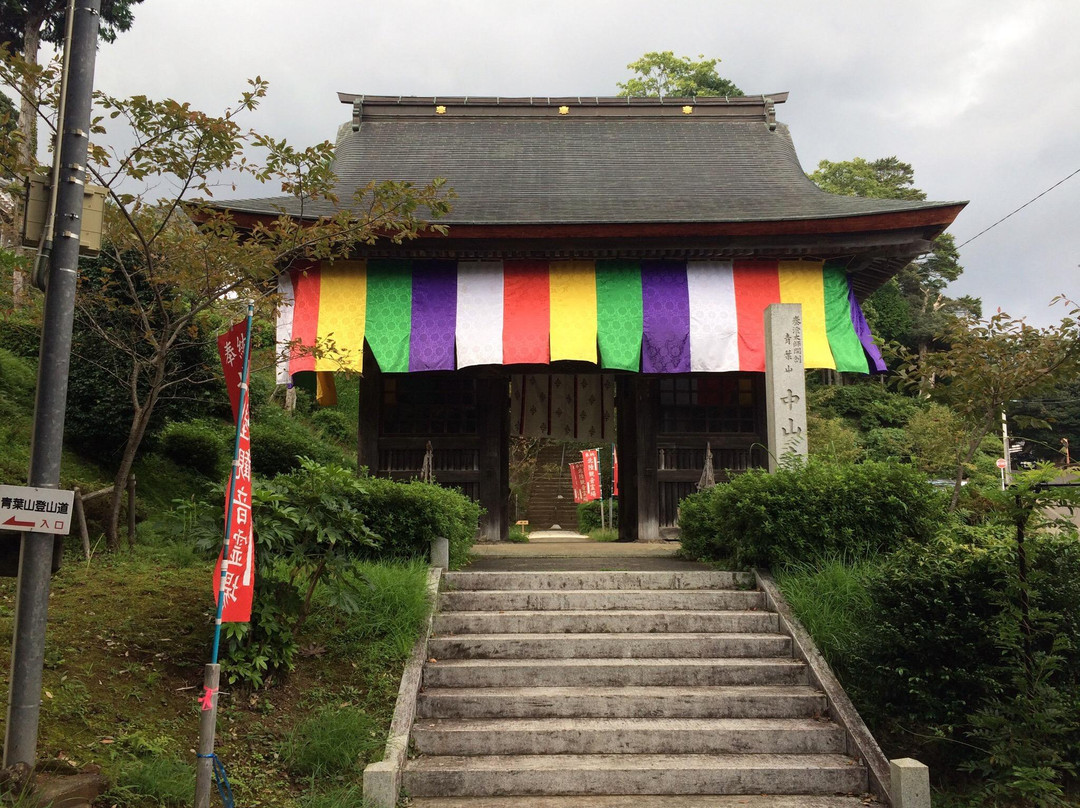 Nakayamadera Temple景点图片