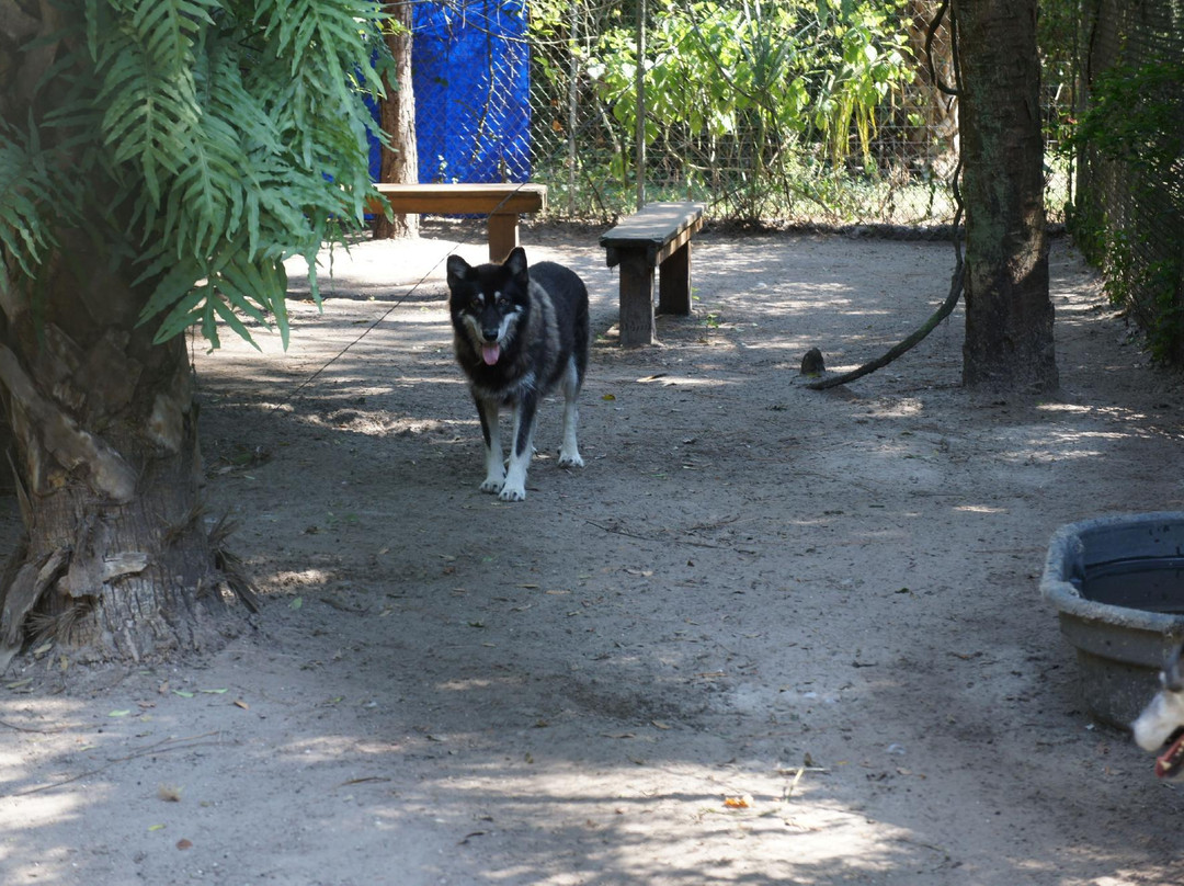 Golden Gate旅游攻略图片
