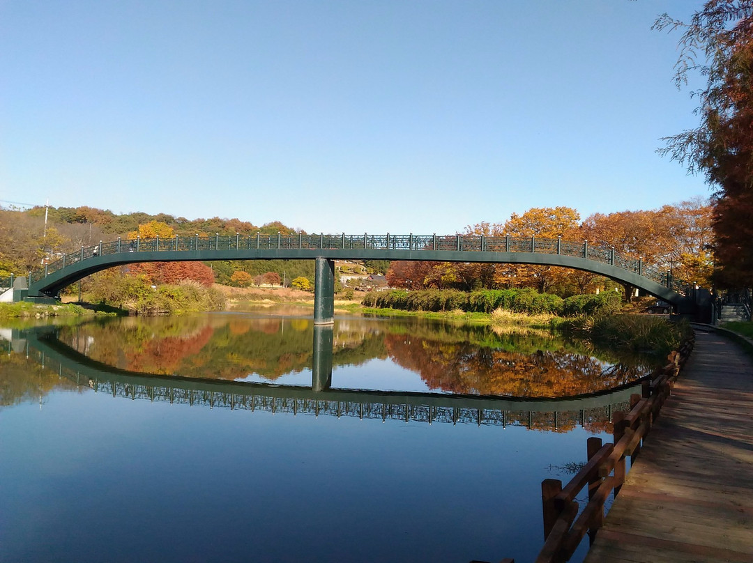 潭阳郡旅游攻略图片