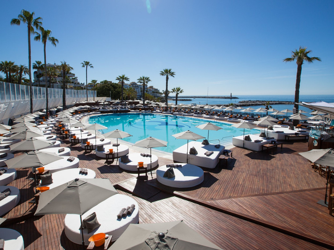 Ocean Club Marbella景点图片