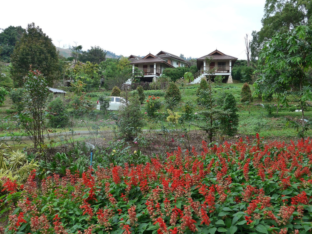 Pang Kha Royal Project and Development Centre景点图片