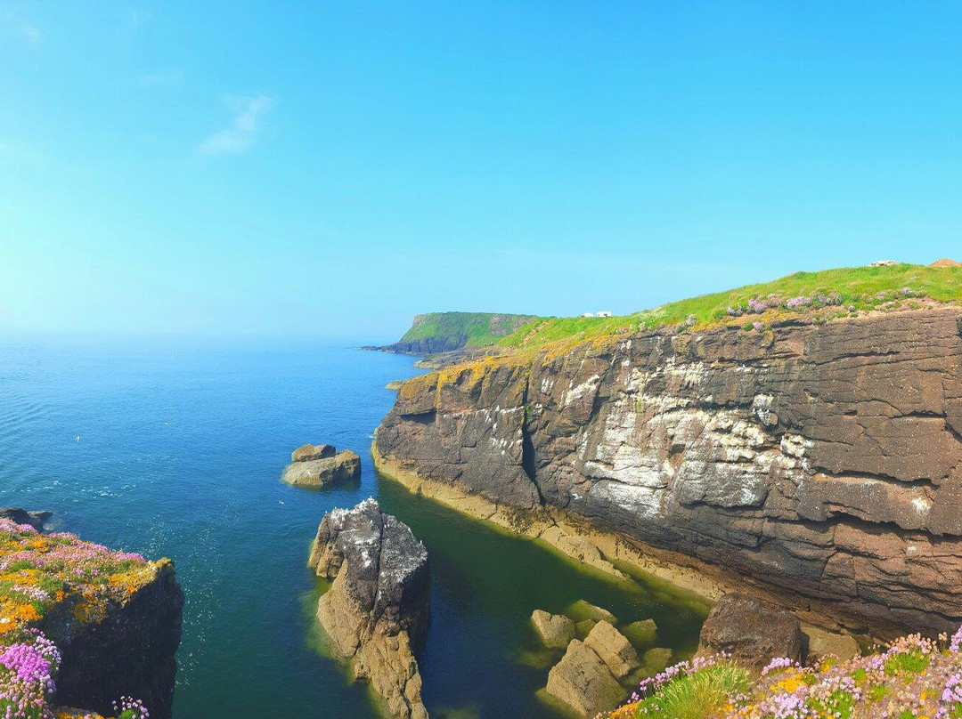 null-Dunmore East