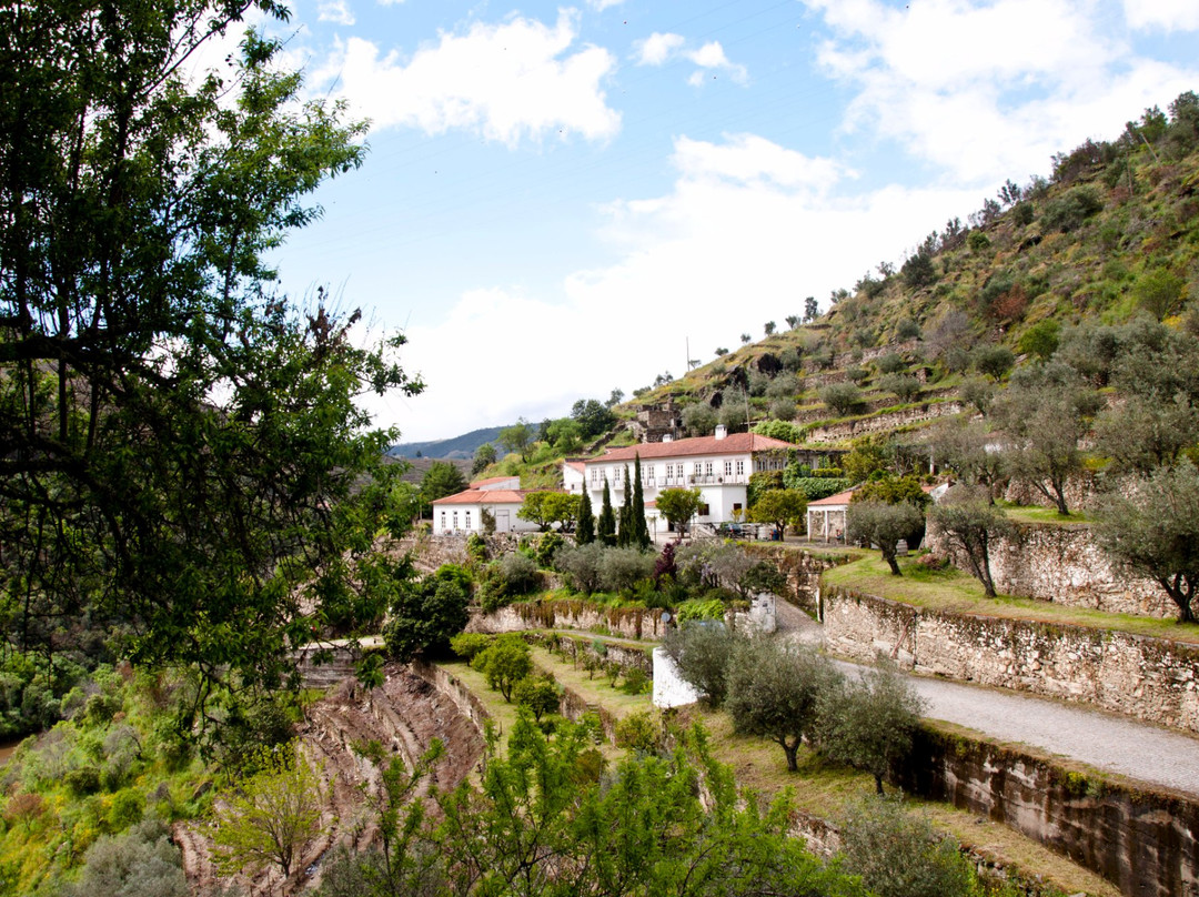 Portugal Excellence Tours景点图片