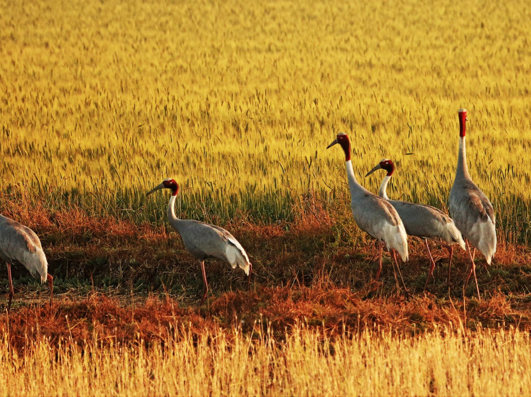 Pariyej旅游攻略图片