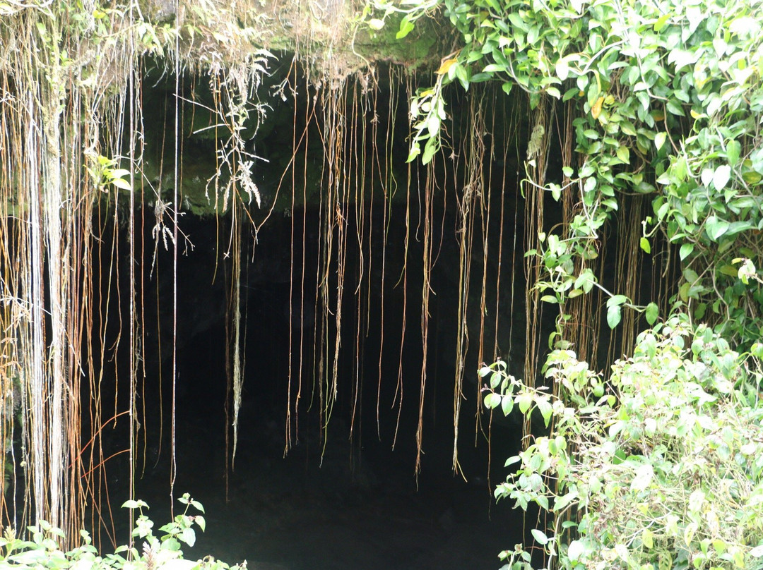 希洛旅游景点-Kaumana Caves Park