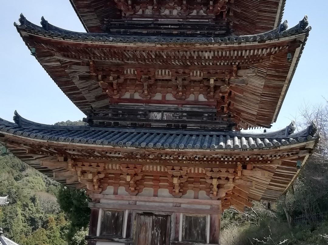 Tsubosaka Temple 3 Storey Tower景点图片