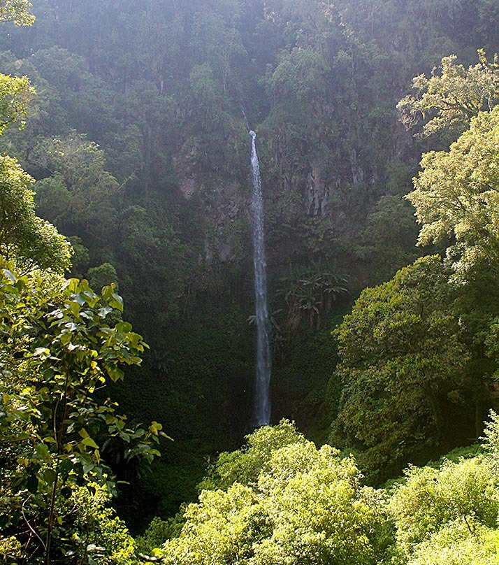 Watu Ondo Waterfall景点图片