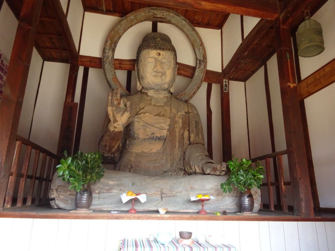 Tatara Great Buddha Hall景点图片