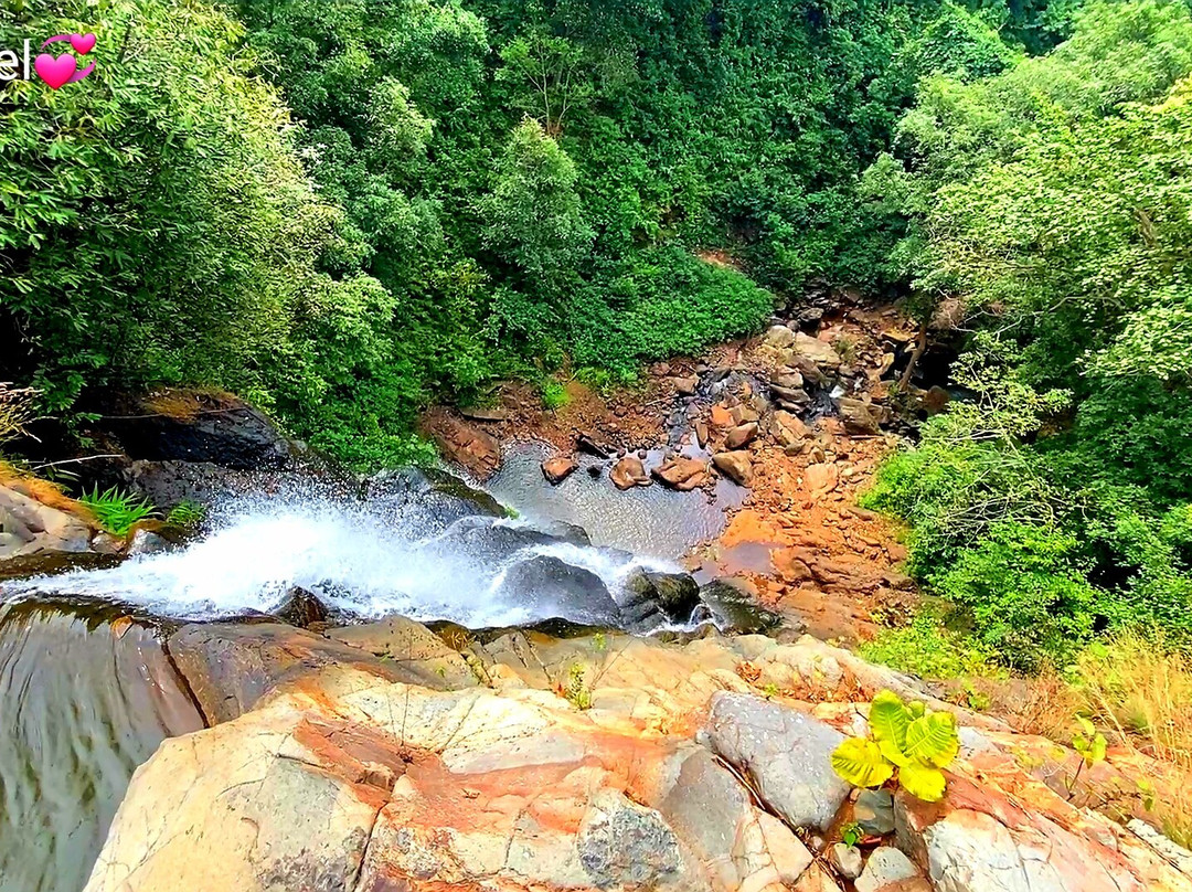 Miriglotah Falls景点图片