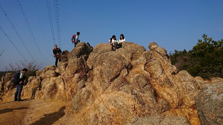 Ashiya Rock Garden