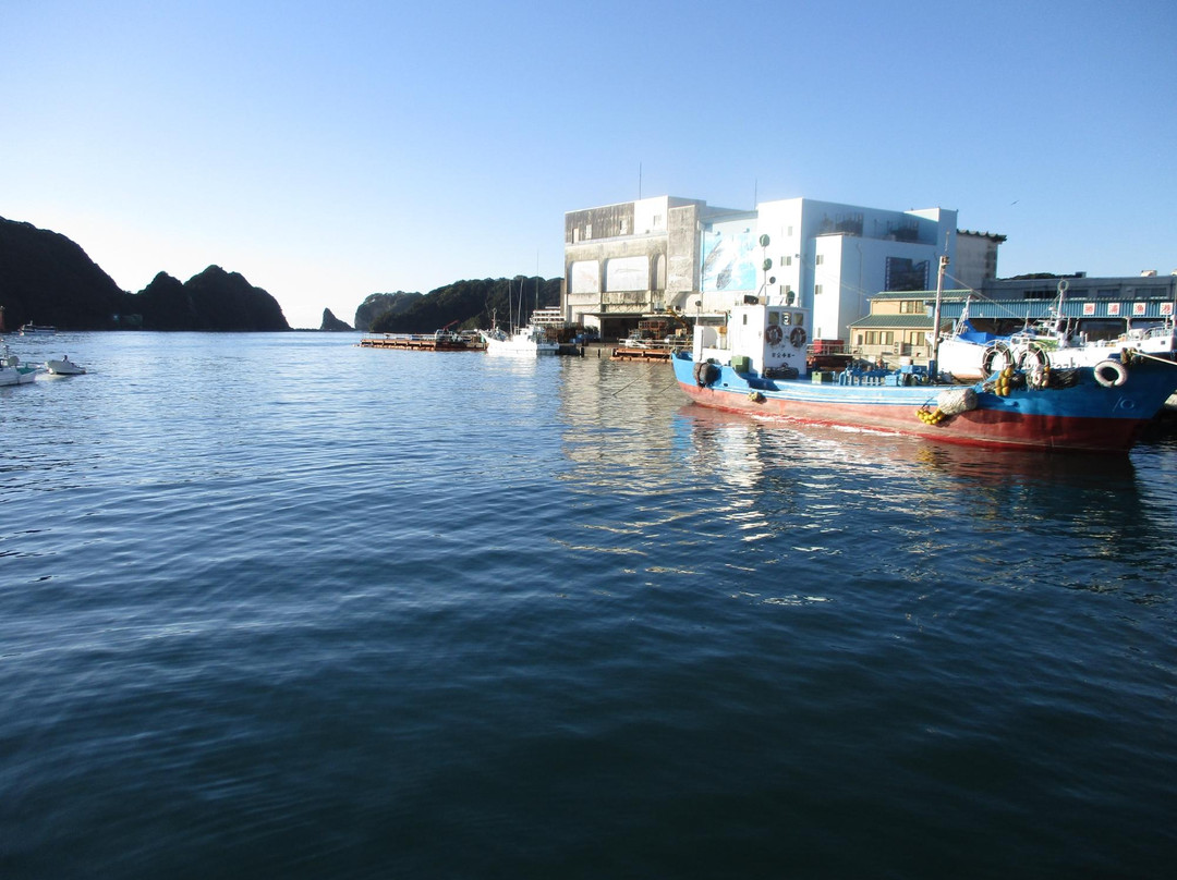 Katsuura Nigiwai Market-那智胜浦町必去景点