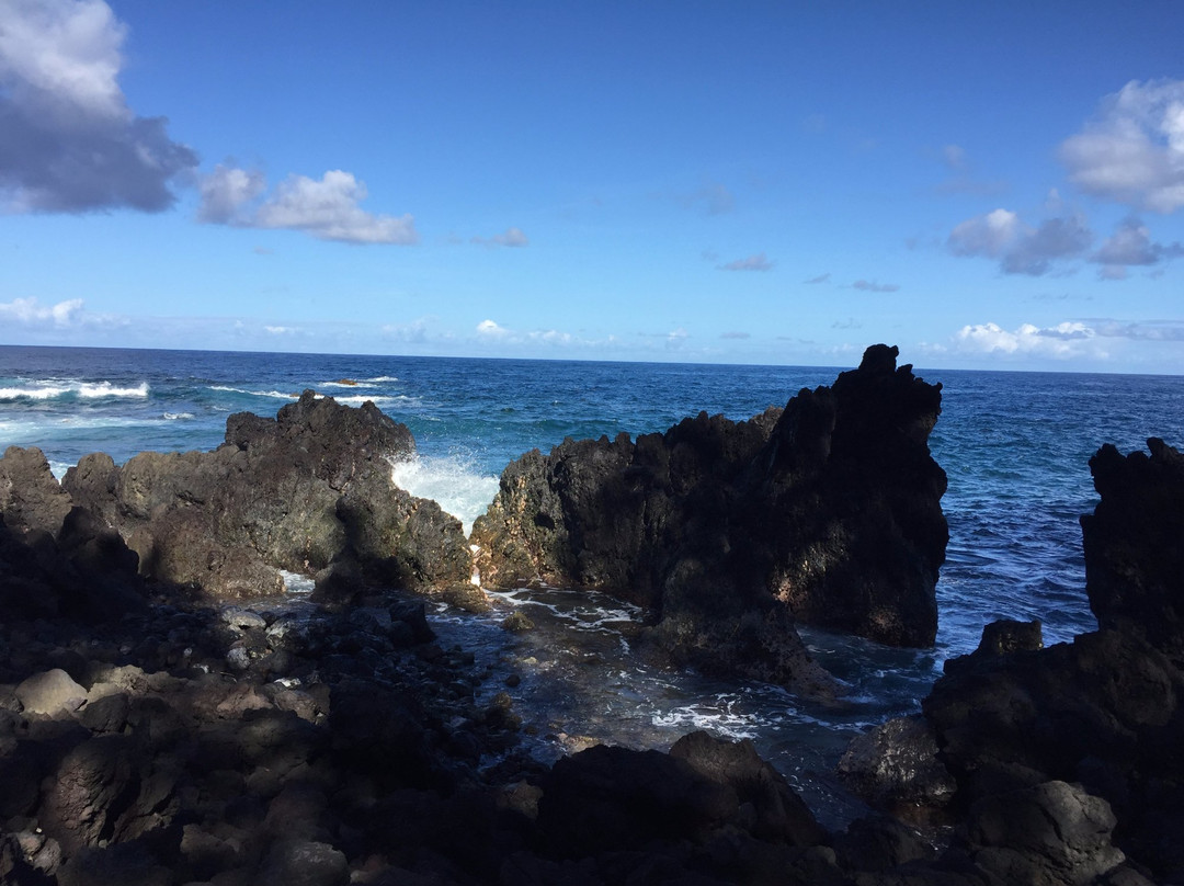 Laupahoehoe Beach Park景点图片