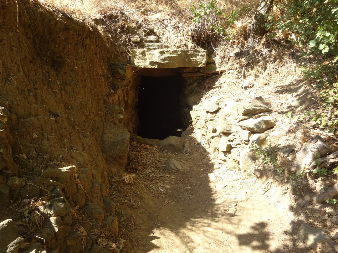 Mycenaean Tomb at Chosti