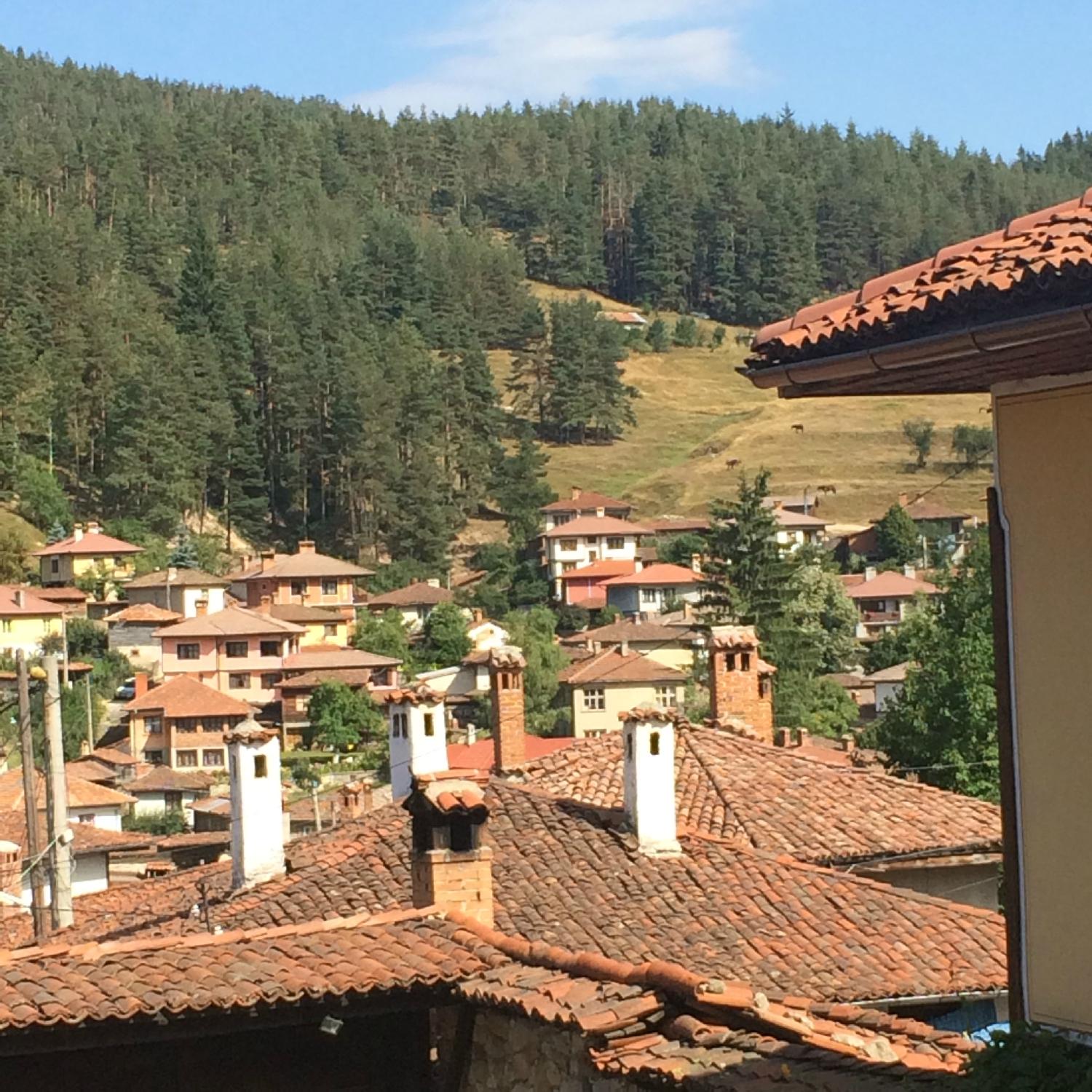 Gozbarov House-客卧