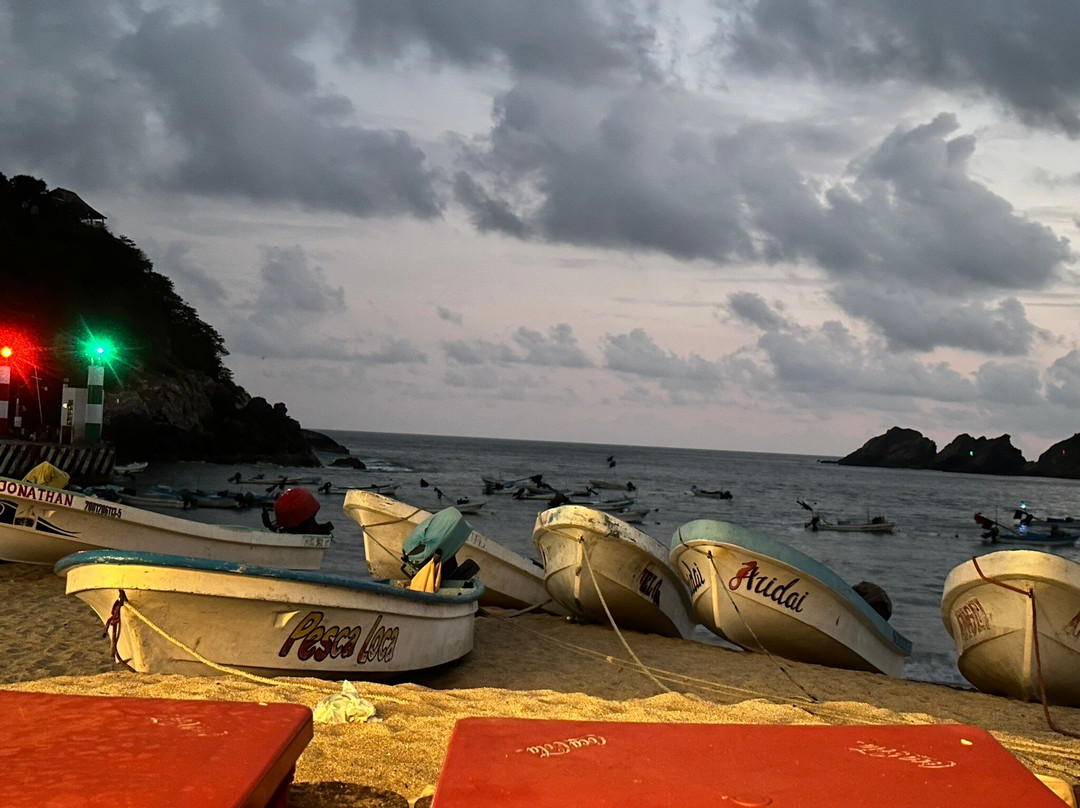 奥亚沙加餐馆和美食-Brisas Del Mar