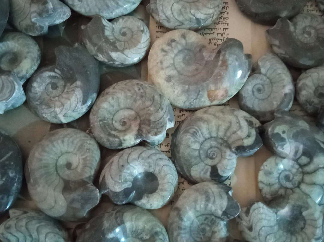 Mezane Fossil Store-Rissani必去景点