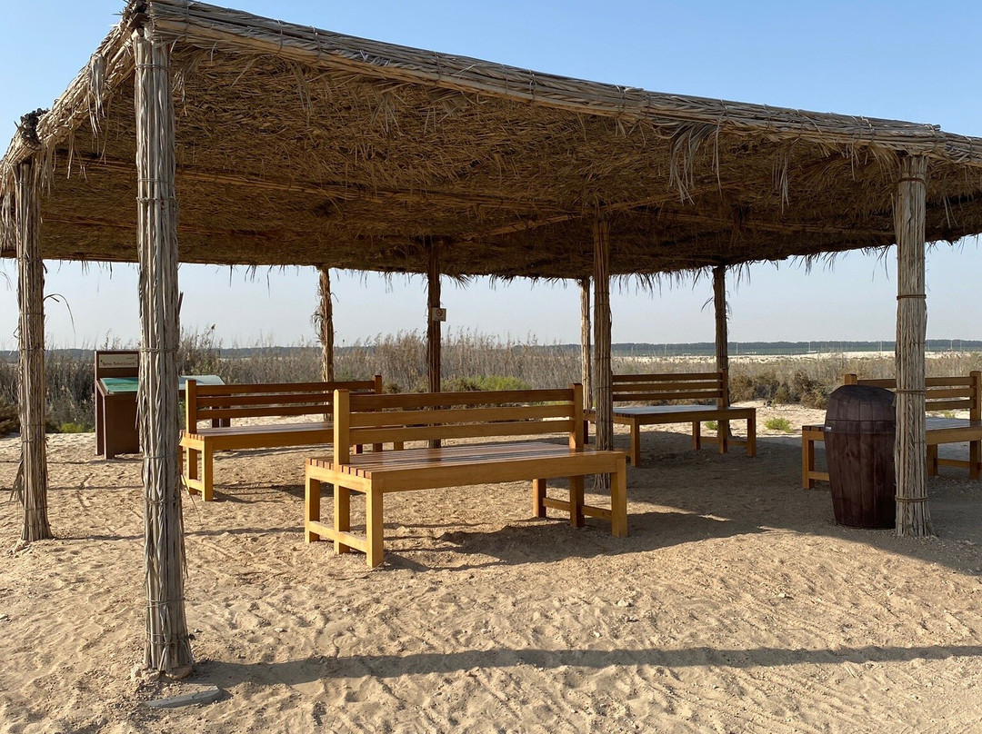 Al Wathba Wetland Reserve景点图片