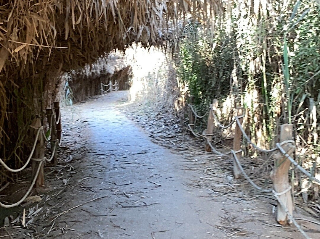 Al Wathba Wetland Reserve景点图片
