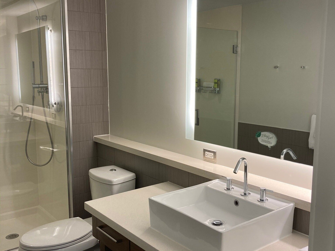 Element Dallas Fort Worth Airport North主图