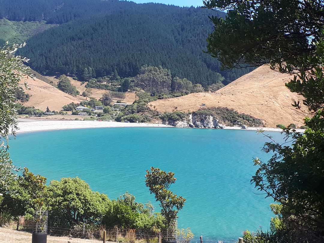 Cable Bay Walkway景点图片