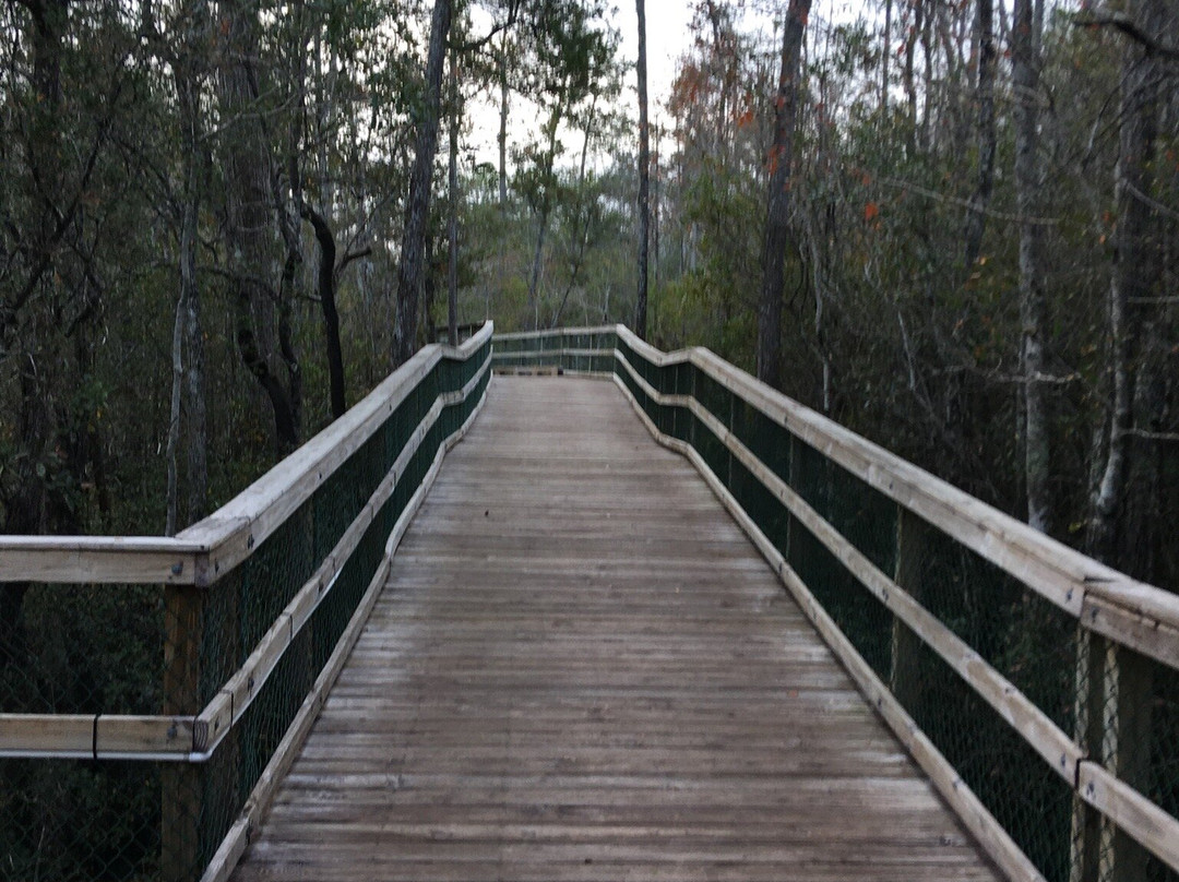Turkey Creek Nature Trail景点图片
