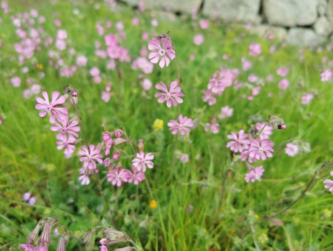 Mirador De La Calle Del Canal-Galapagar必去景点