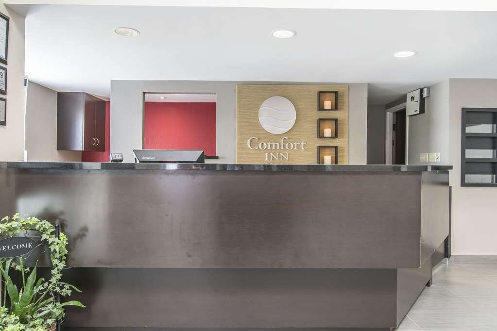 Comfort Inn Timmins主图