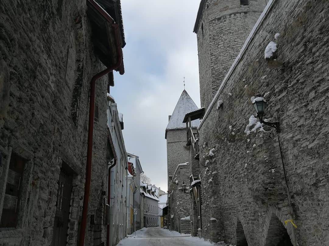 Tallinn Private Tour Guide-塔林必去景点