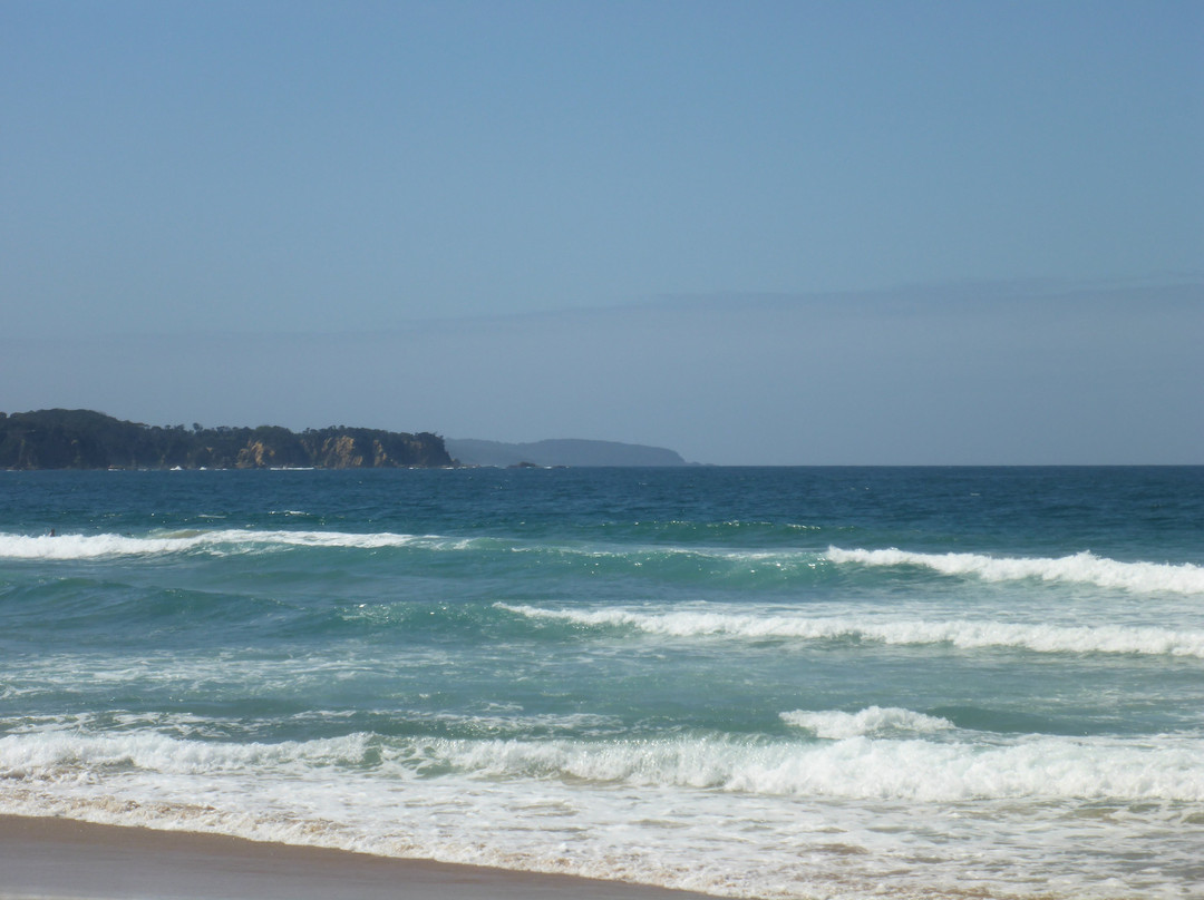 Tathra Beach景点图片