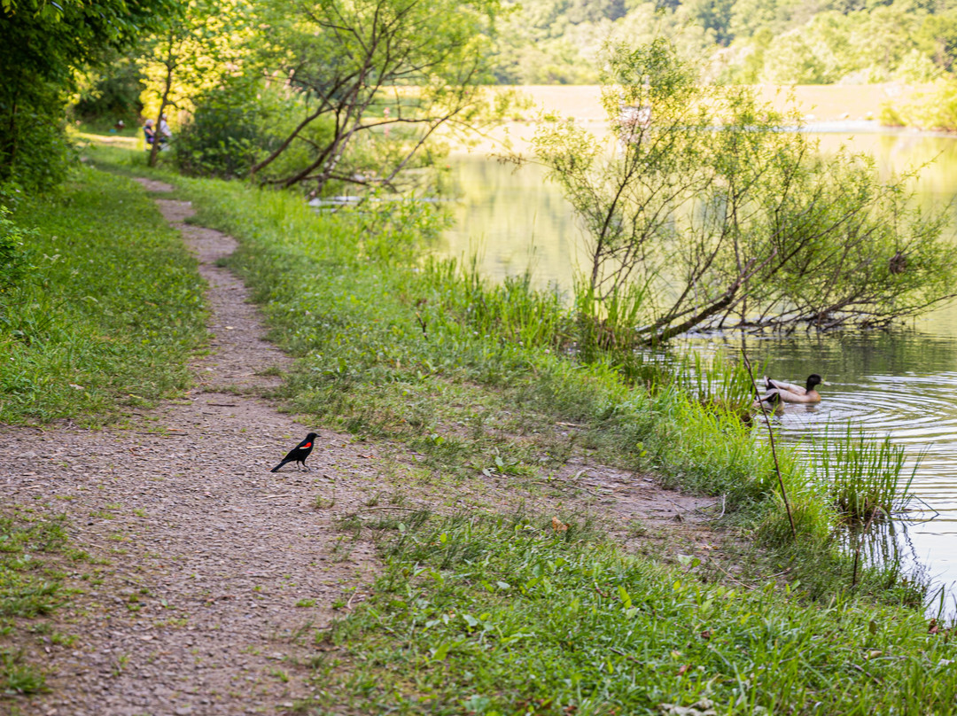 Chief Logan State Park-Logan必去景点