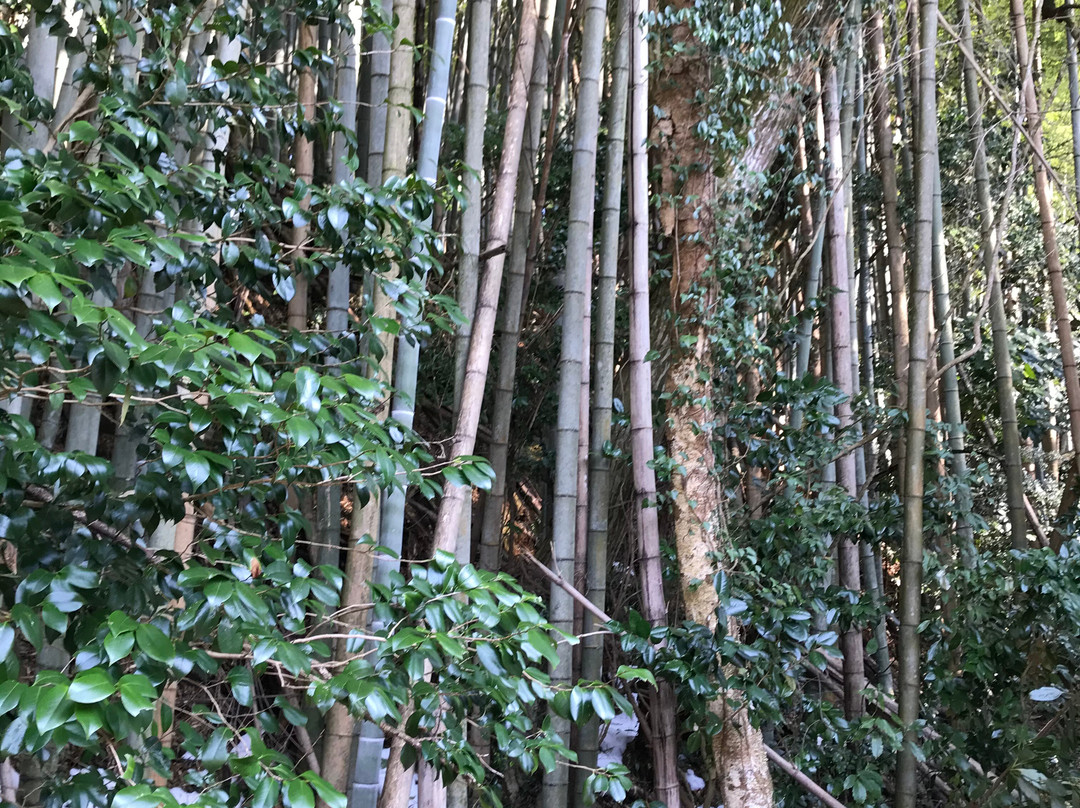 Hongu Izumi Spring-米子市必去景点