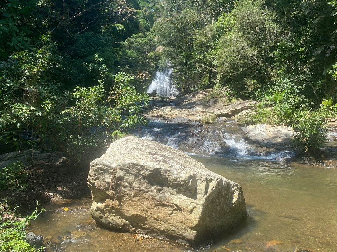 Casa Celeste Honda主图