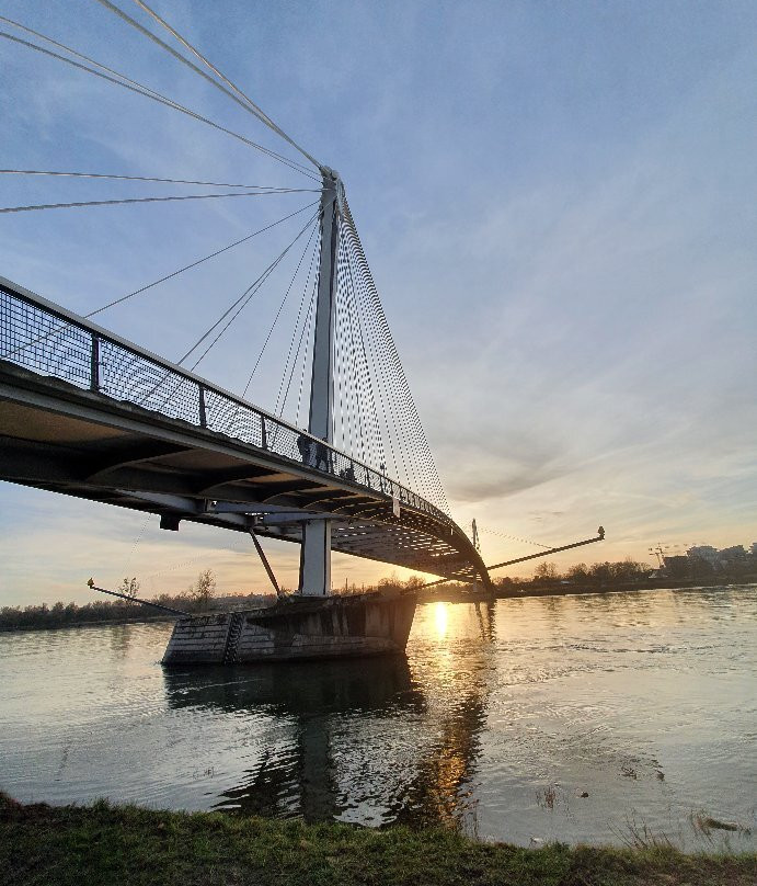 Passerelle des Deux Rives-凯尔必去景点