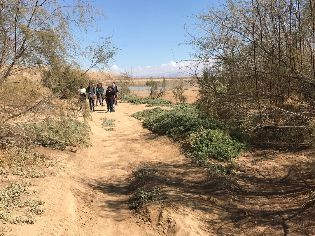 Peimot Midbar-Ein Yahav必去景点