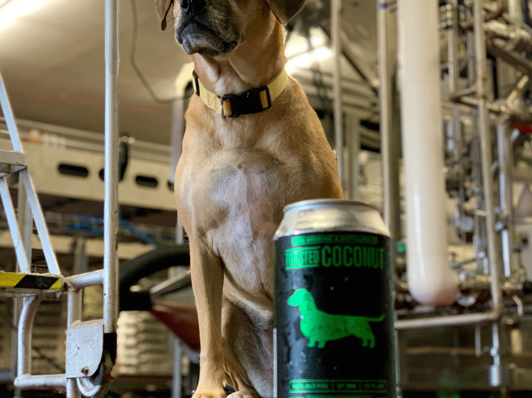 Core Brewing & Distilling Co.-Springdale必去景点