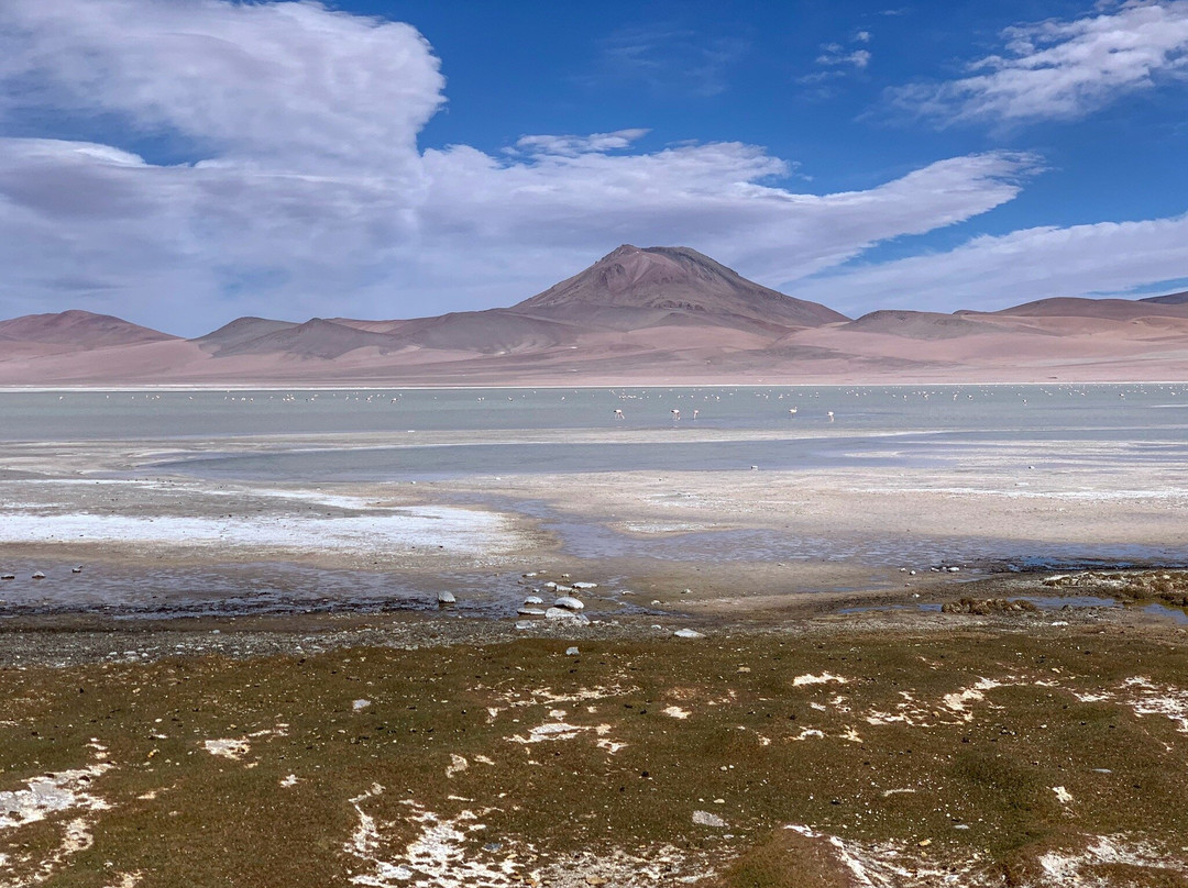 Quechua Connection 4wd-乌尤尼必去景点