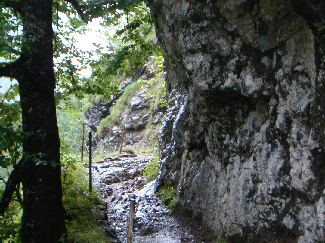 Malerwinkel Rundweg am Koenigssee景点图片