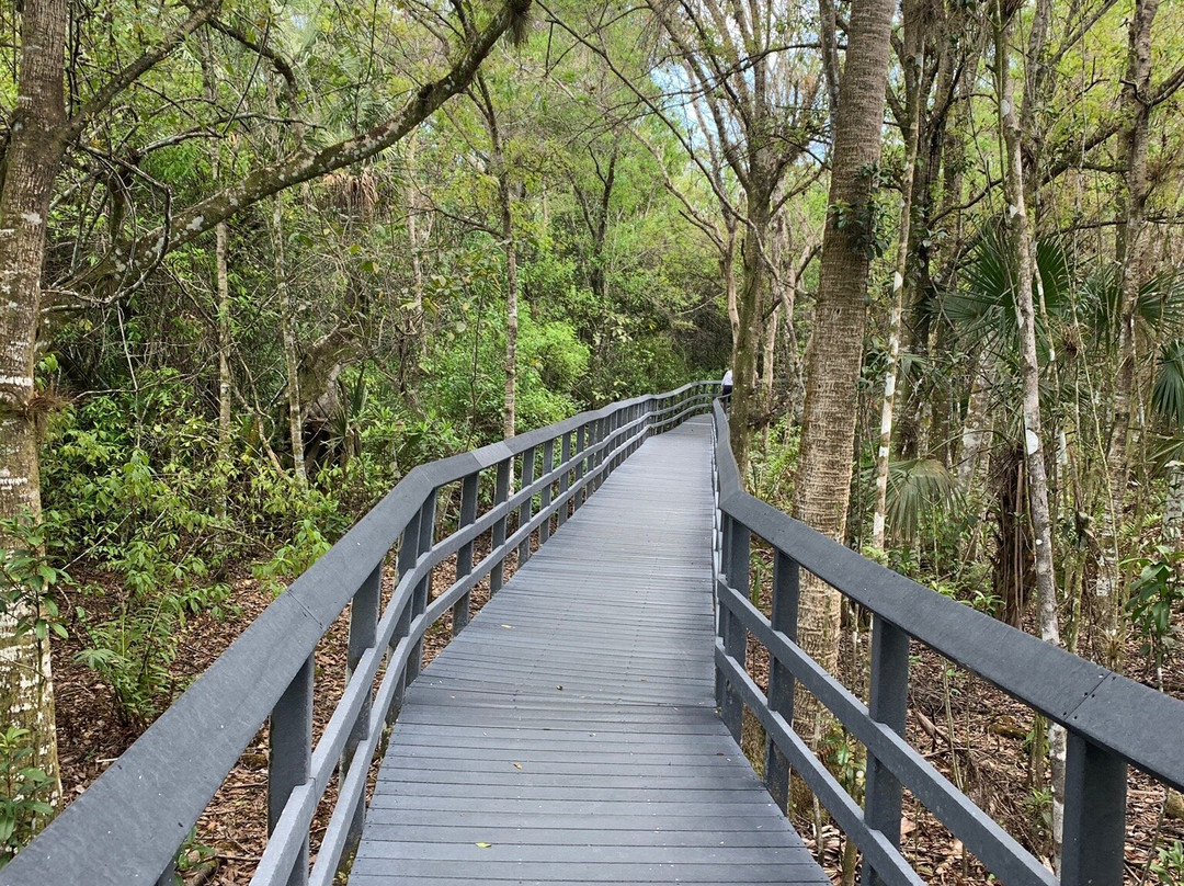 Fern Forest Nature Center景点图片