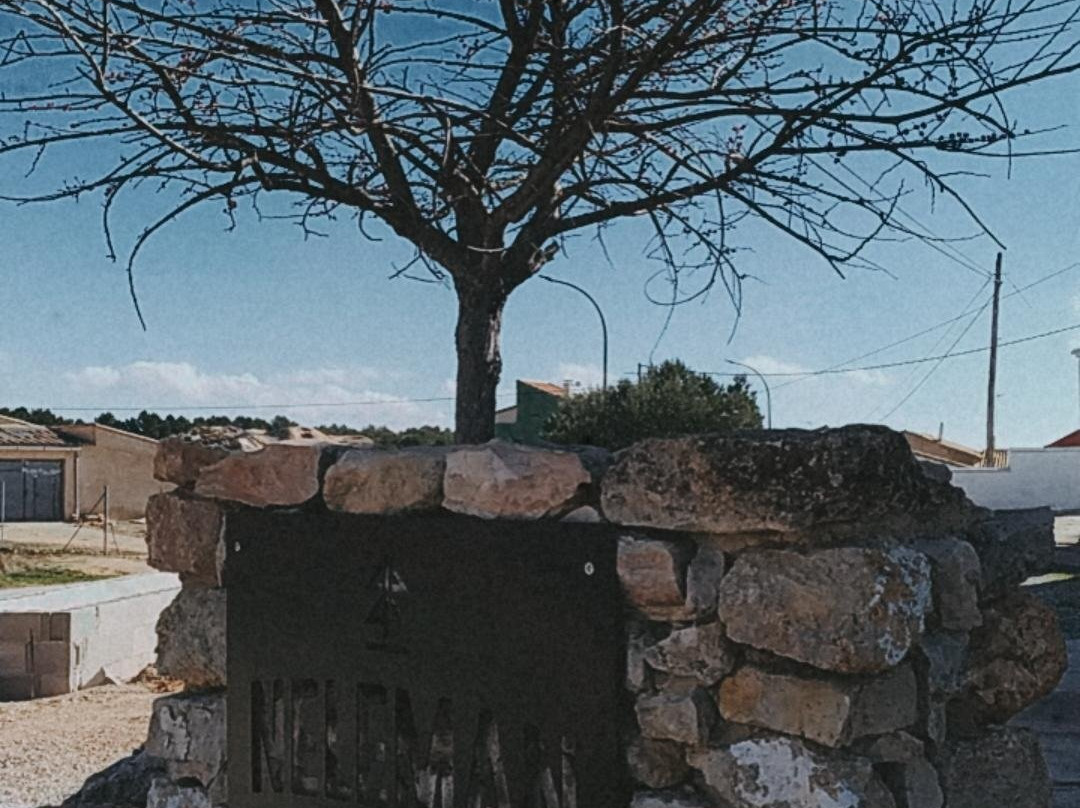 Bodegas Neleman, Casas del Rey - Valencia (Spain)-Venta del Moro必去景点