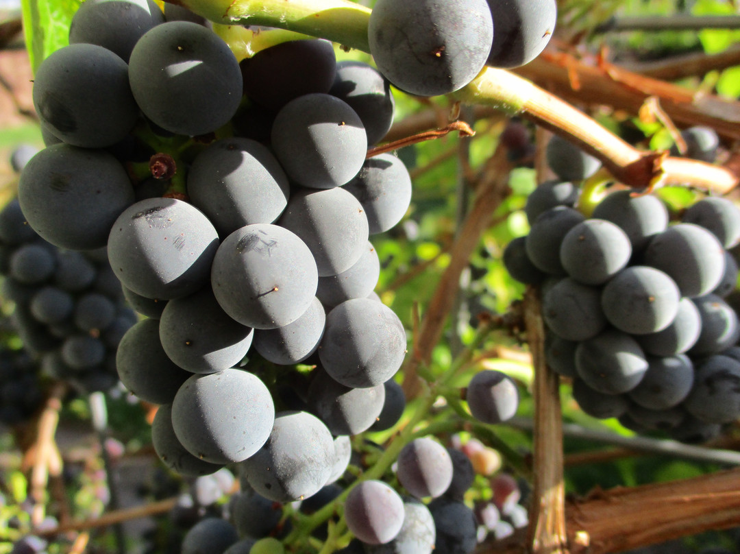 Mountain Spirit Inn主图