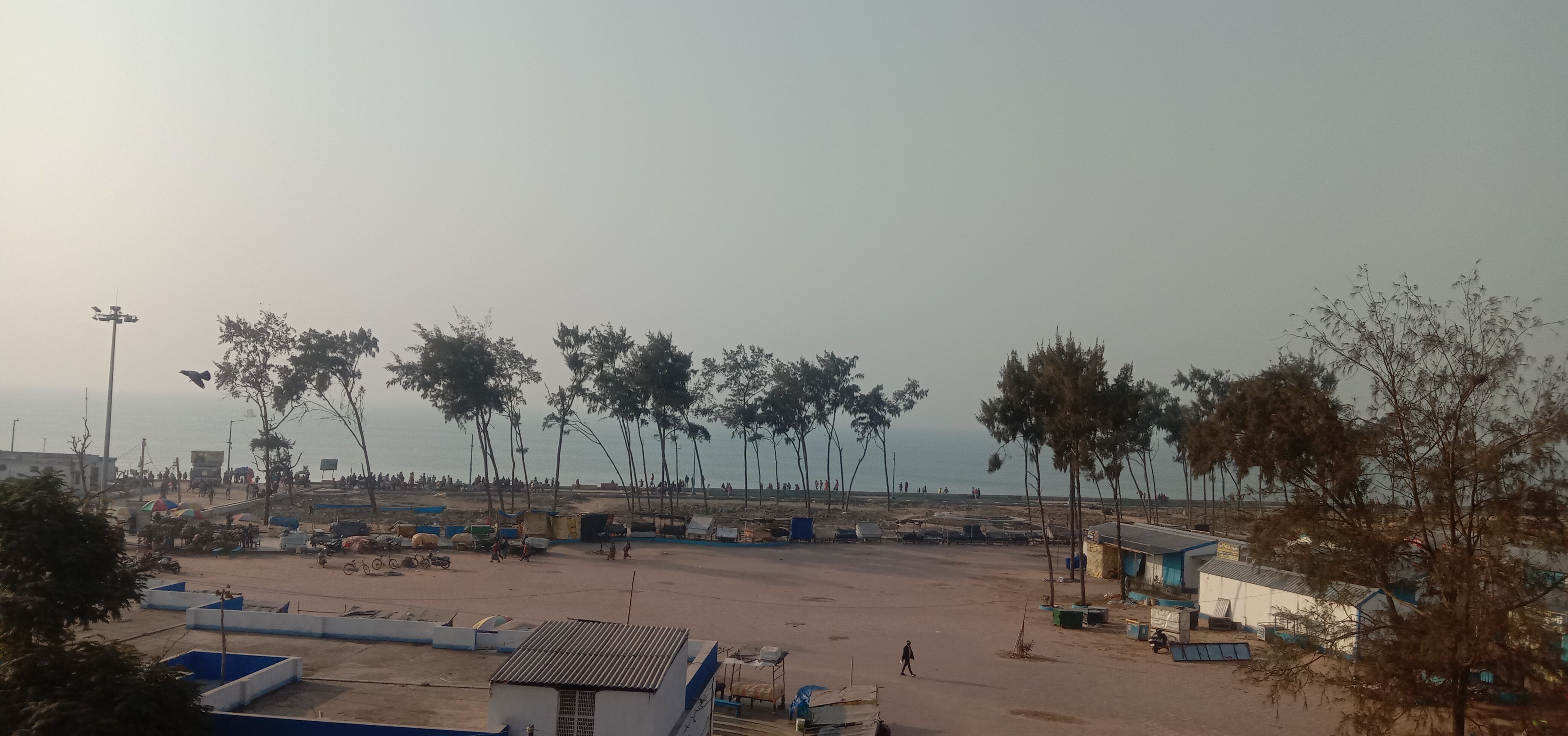 Sea Bird Hotel-官方