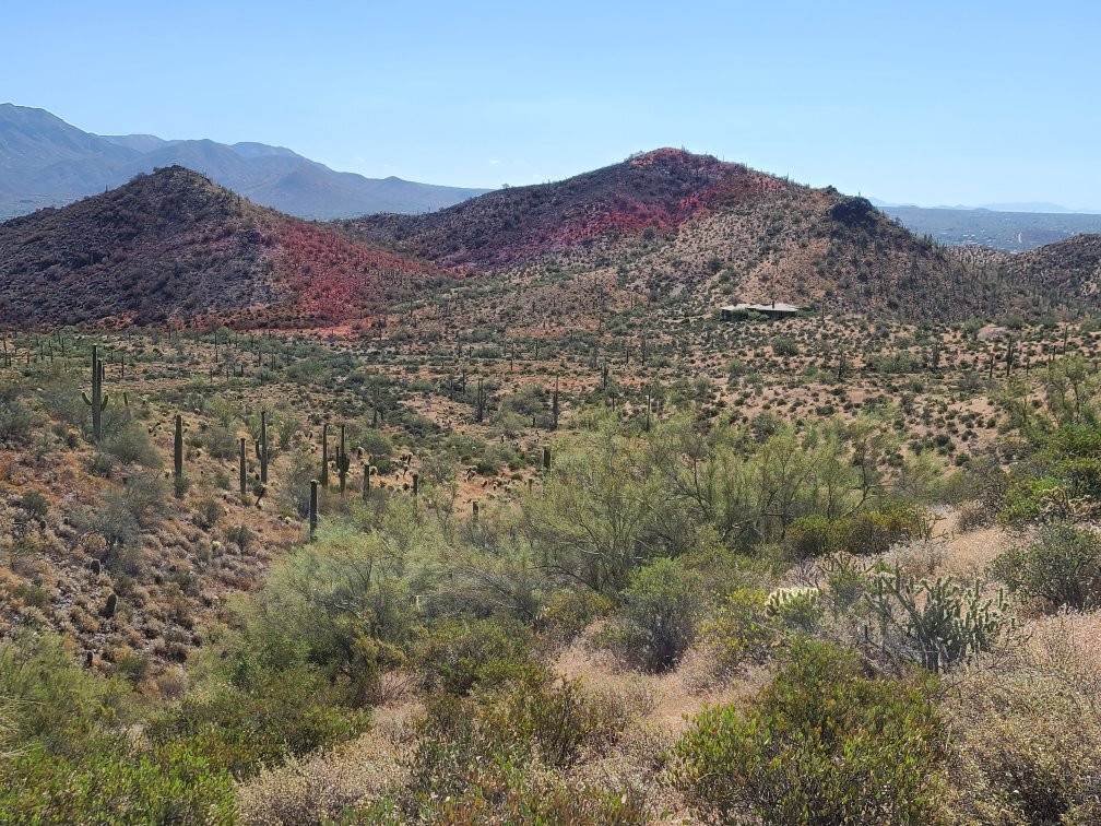 Cave Creek Regional Park-洞溪必去景点