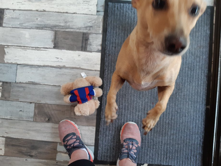 Riverwood Downs Mountain Valley Resort主图